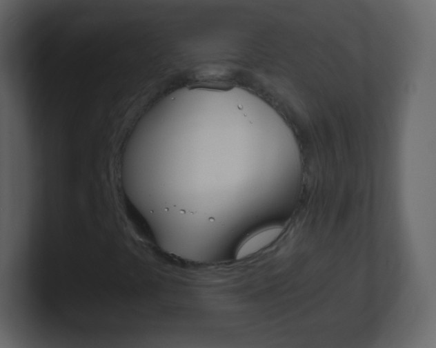 X0000101461441200807071122