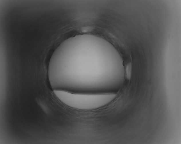 X0000101461443200807071122