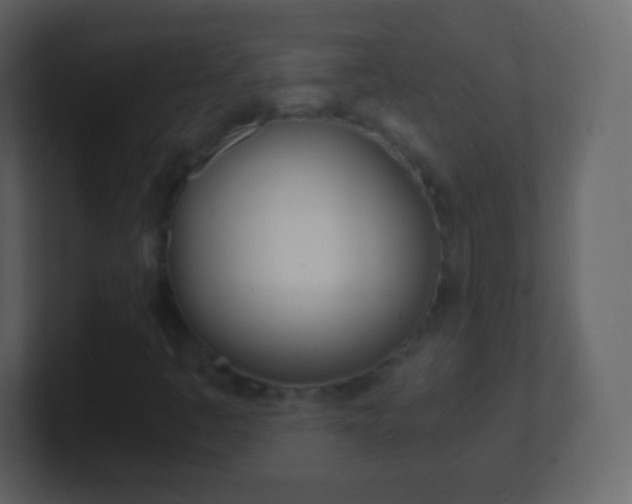 X0000101461445200807071122