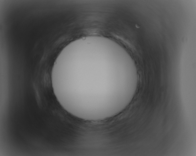 X0000101461446200807071122