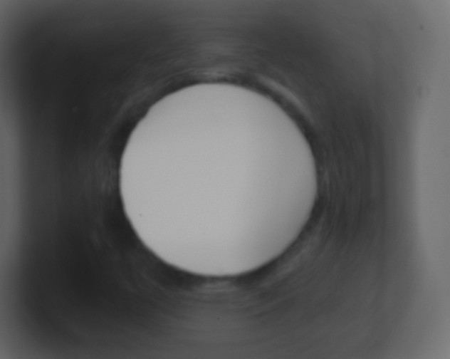 X0000101461447200807071122
