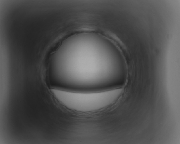 X0000101461448200807071122
