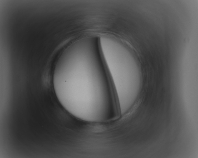 X0000101461450200807071122