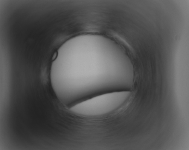 X0000101461451200807071122