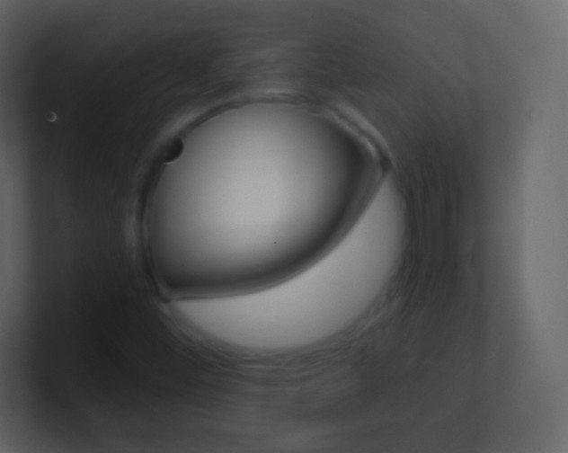 X0000101461452200807071122