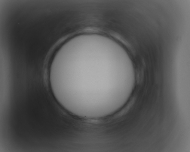 X0000101461454200807071122