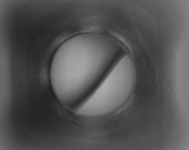 X0000101461455200807071122