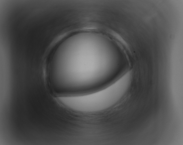 X0000101461456200807071122