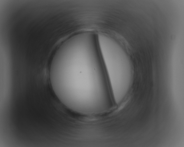 X0000101461457200807071122