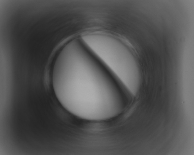 X0000101461458200807071122