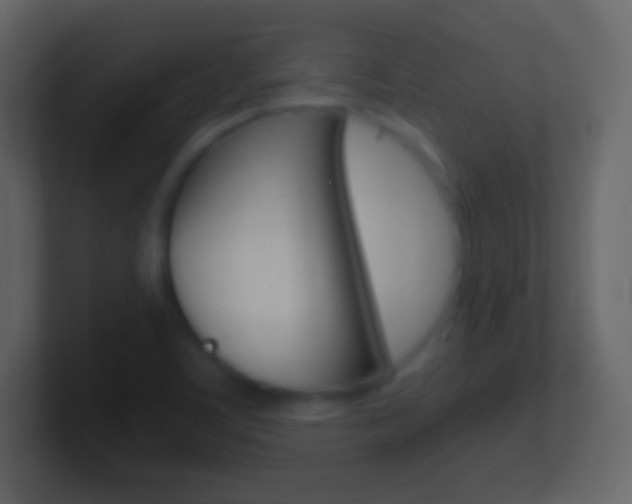 X0000101461459200807071122