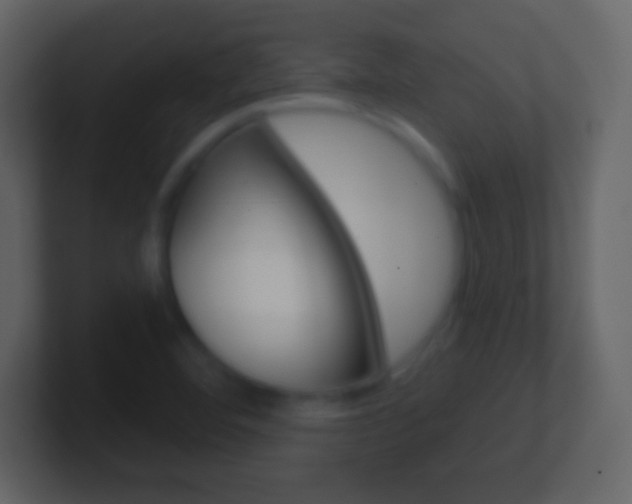 X0000101461460200807071122