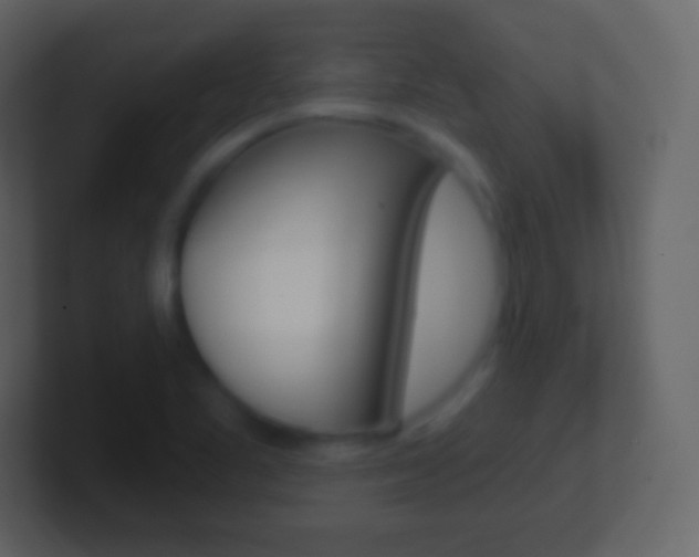 X0000101461461200807071122