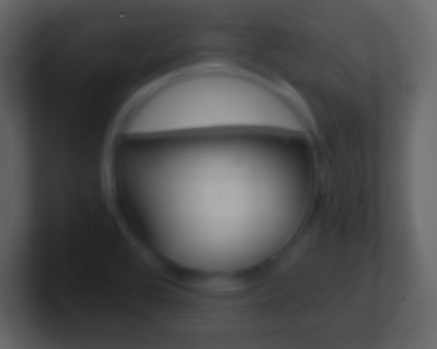 X0000101461464200807071121