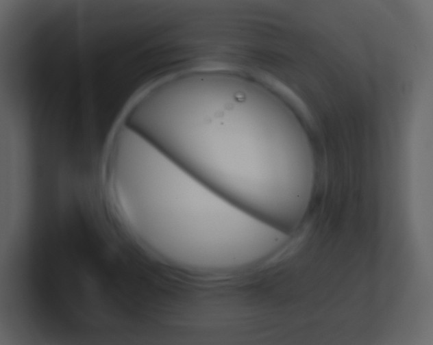 X0000101461467200807071121