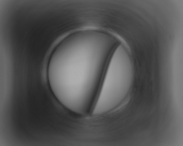 X0000101461469200807071121