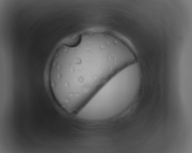 X0000101461471200807071121