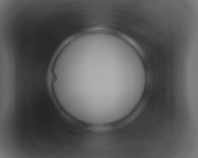 X0000101461474200807071121