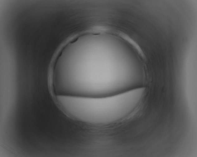 X0000101461477200807071121