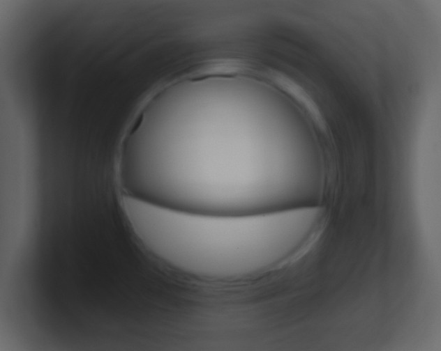 X0000101461481200807071121