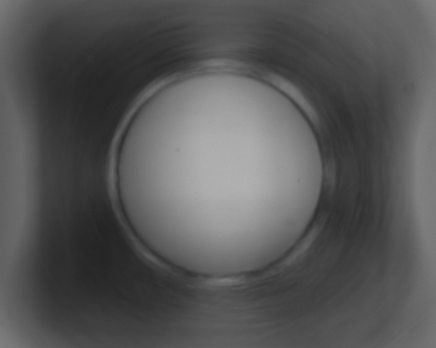 X0000101461482200807071121