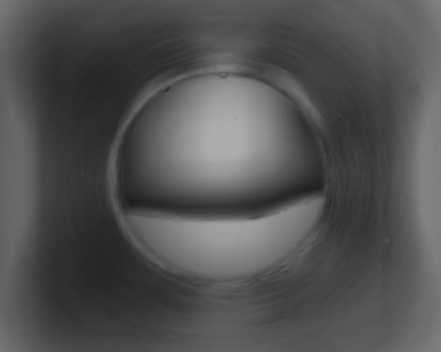 X0000101461483200807071121
