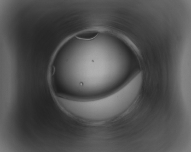 X0000101461484200807071121