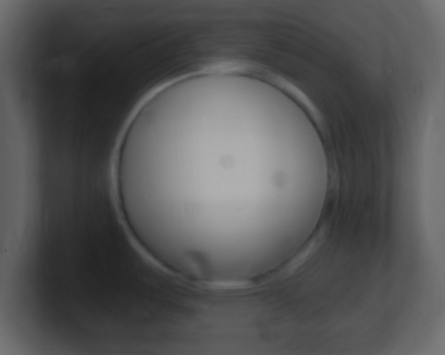 X0000101461487200807071121