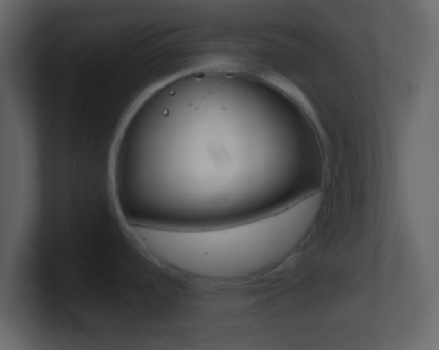X0000101461488200807071121