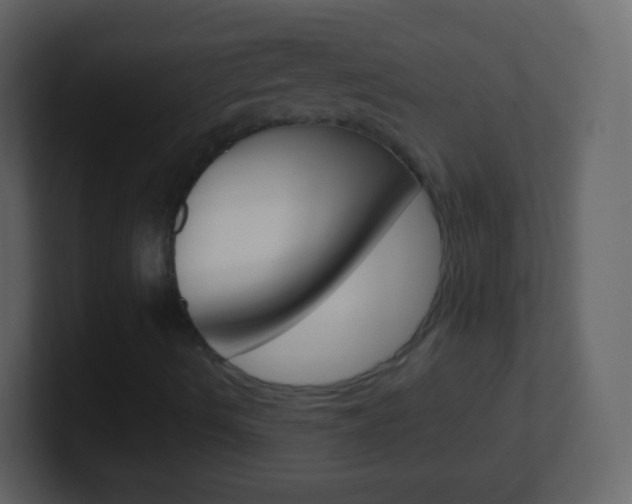 X0000101461490200807071121