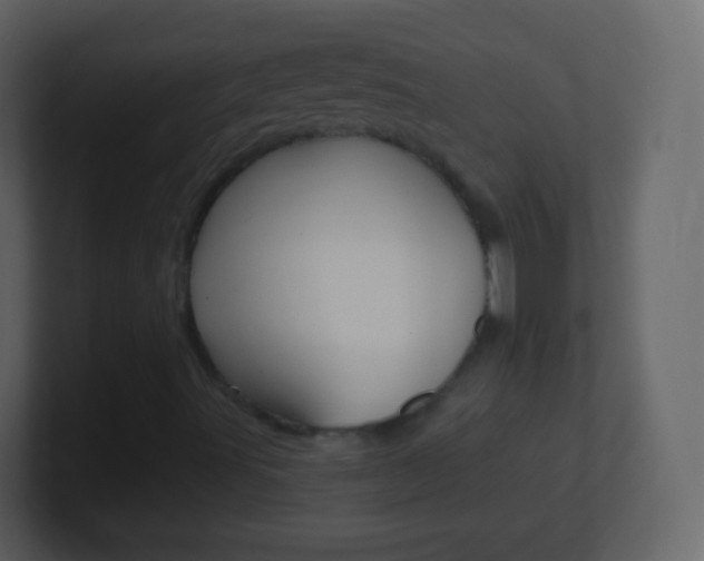 X0000101461491200807071121