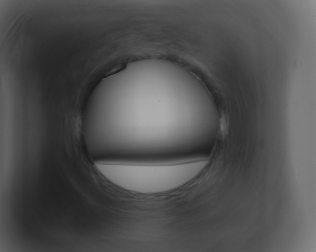 X0000101461492200807071121