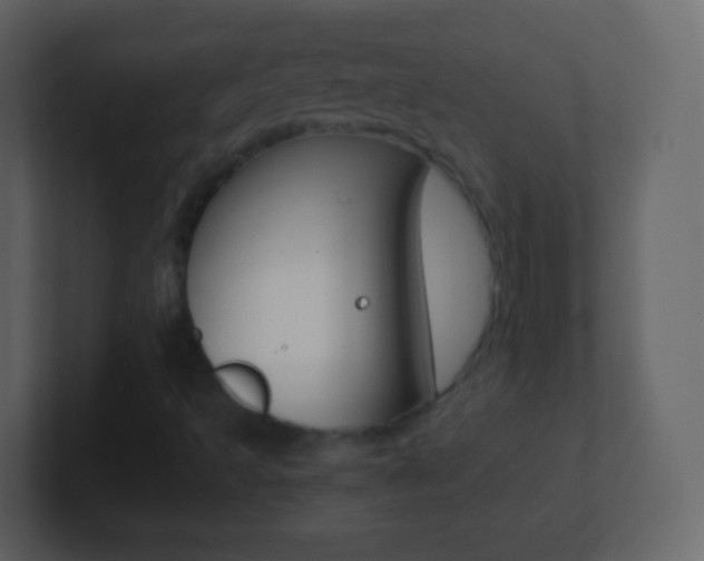 X0000101461493200807071121