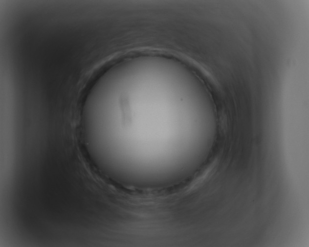 X0000101461494200807071121