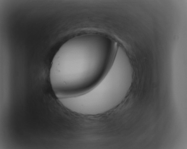 X0000101461495200807071121