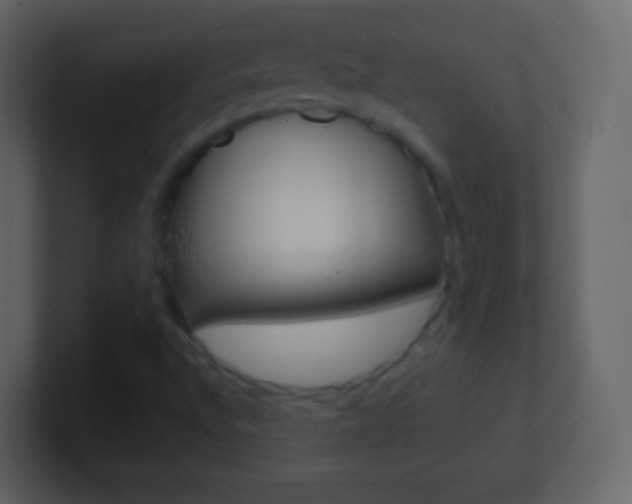 X0000101461496200807071121