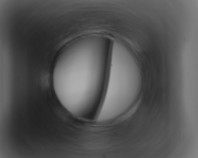 X0000101461497200807071121