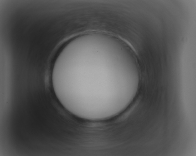 X0000101461499200807071121