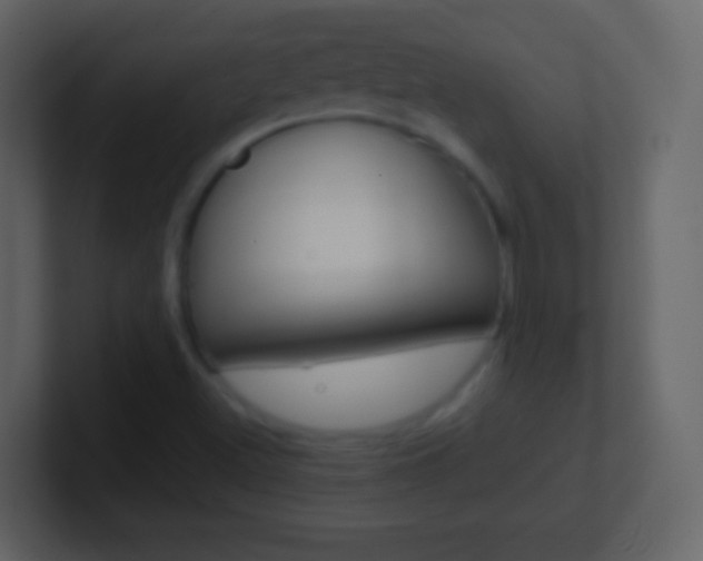 X0000101461500200807071121
