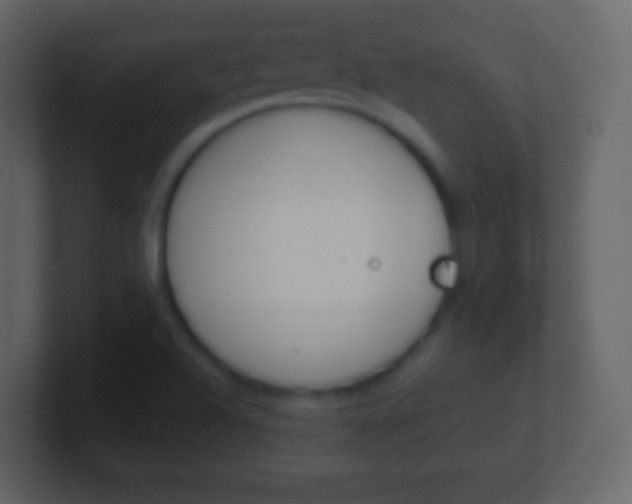 X0000101461504200807071121