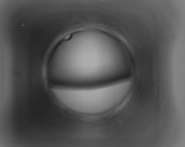 X0000101461506200807071121