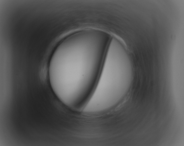 X0000101461507200807071121