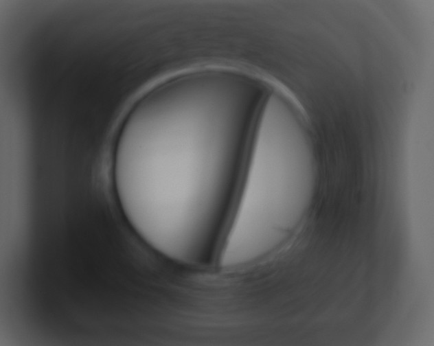 X0000101461508200807071121