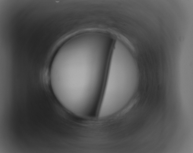 X0000101461509200807071121