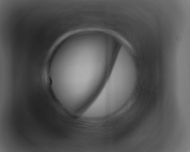 X0000101461510200807071121