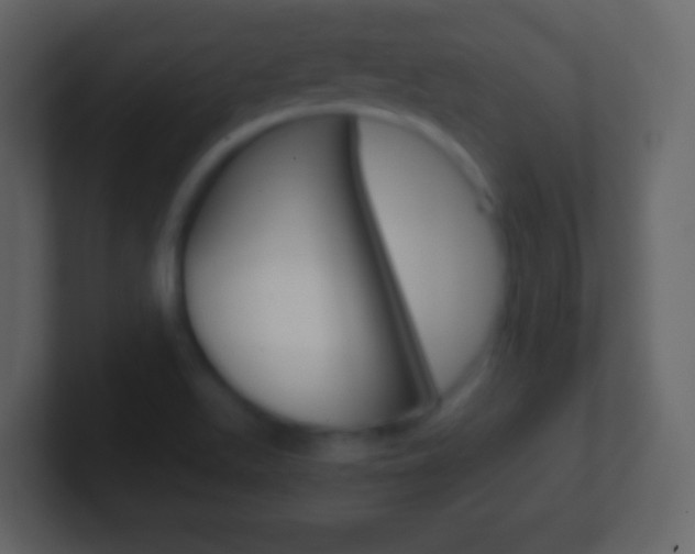 X0000101461511200807071121