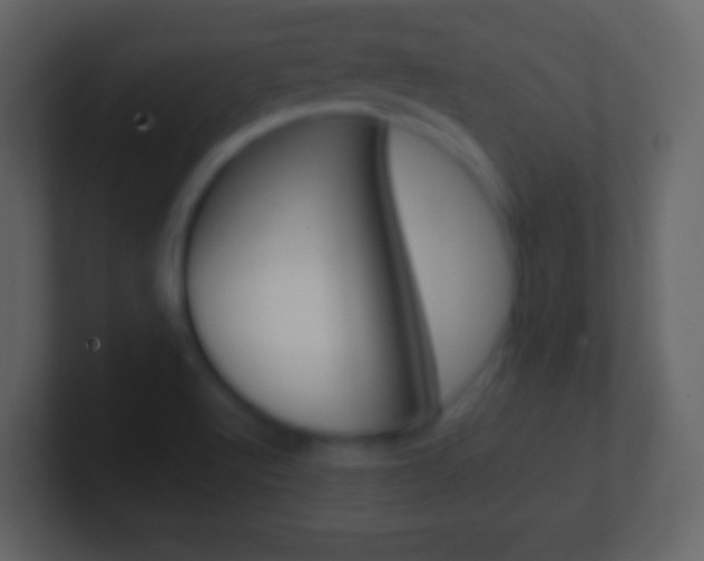 X0000101461512200807071121