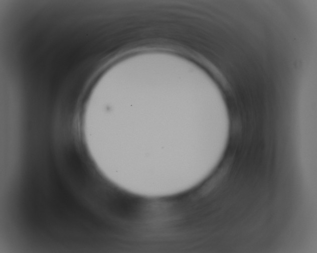 X0000101461514200807071121