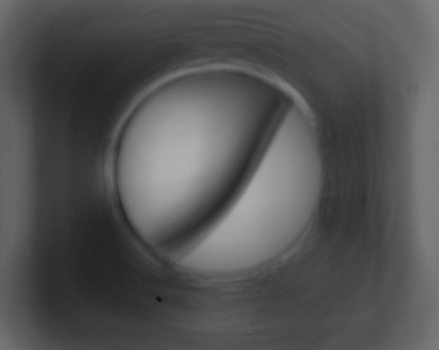 X0000101461516200807071121