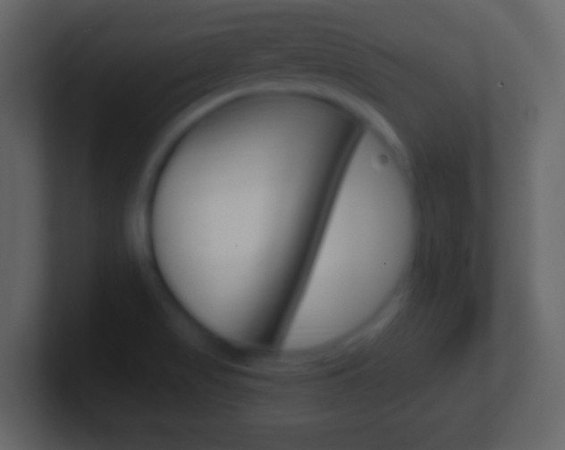 X0000101461517200807071121